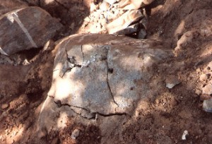 شکستن ساروج